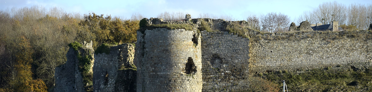 guildo 1