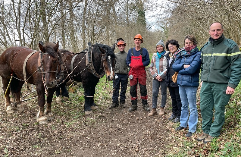 Aux côtés de Nathalie Nowak, conseillère départementale déléguée à l'Environnement, les Attelages du Kreiz Breizh avec notamment Serge Le Louarn, Pascale Gallerne, adjointe au maire de Ploufragan, Valérie Le Bars, cheffe du service Patrimoine naturel et biodiversité au Département, Olivier Dugué, technicien à l'ONF. Point presse massif de Gouët