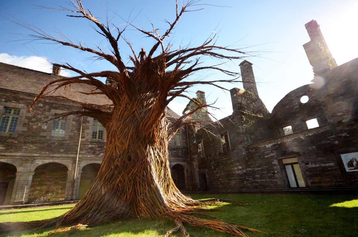 L'arbre à voeux de Trevor Leat 2019-2020 © Michel Menguy
