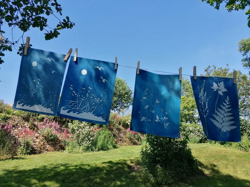 Atelier Cyanotype Atelier Cyanotype