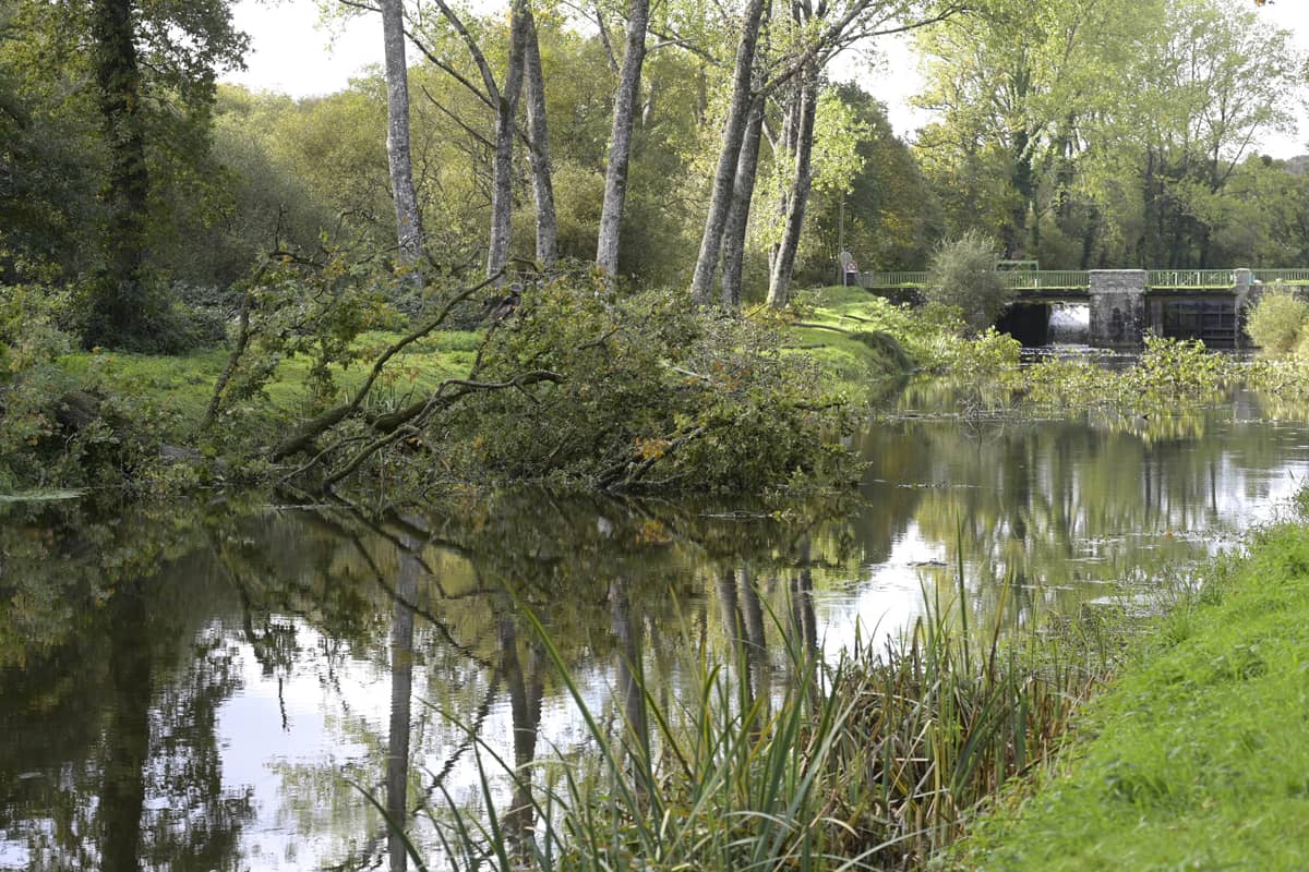 Canal