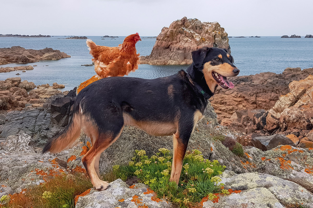 bosco et monique bosco et monique