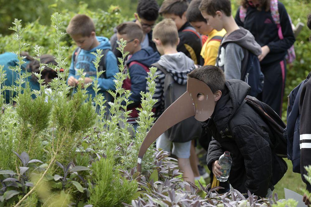 Les collégiens à la Roche Jaguo