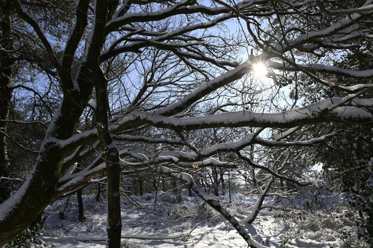 neige diapo