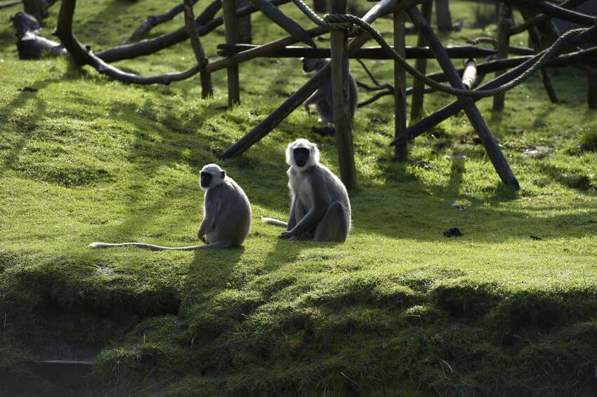 Zooparc