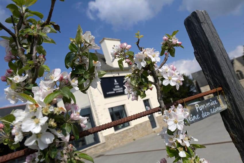 La commune de Saint-Launeuc a obtenu le label de fleurissement 4 fleurs pour ses réalisations. Photo : Thierry Jeandot