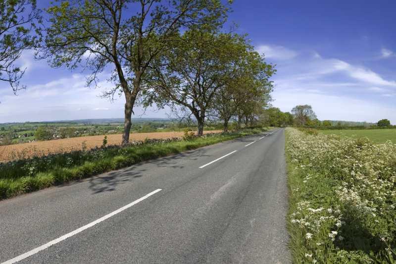 Un dimanche sur les routes du Tour (illustration)