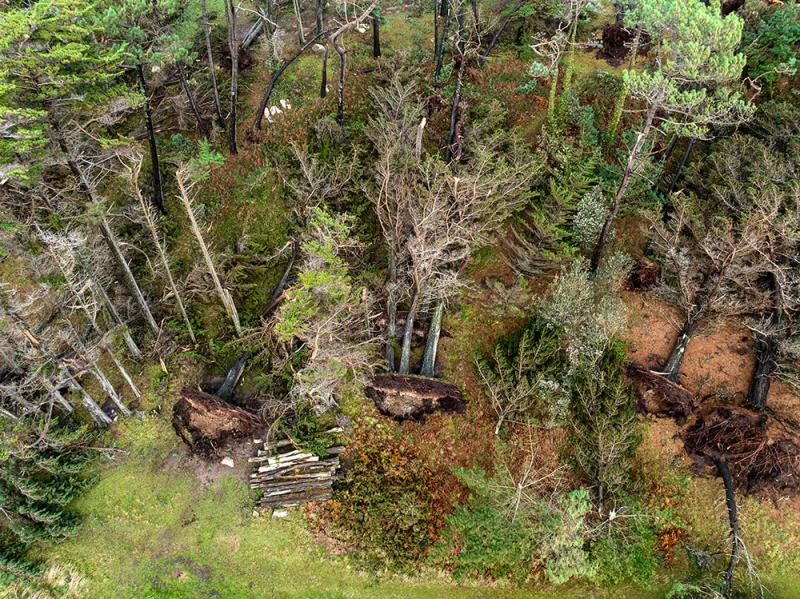 Le Dourven - Crédits : Yoan Briere - La Lanterne le dourven après la tempête