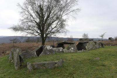 Allées couvertes de Liscuis Allées couvertes de Liscuis