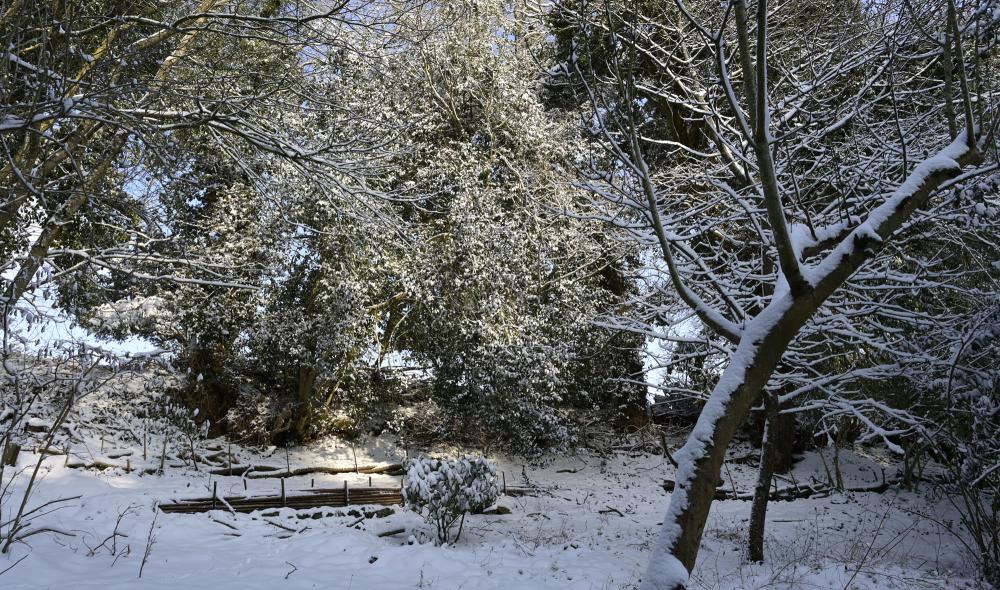 neige diapo
