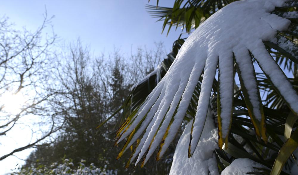 neige diapo