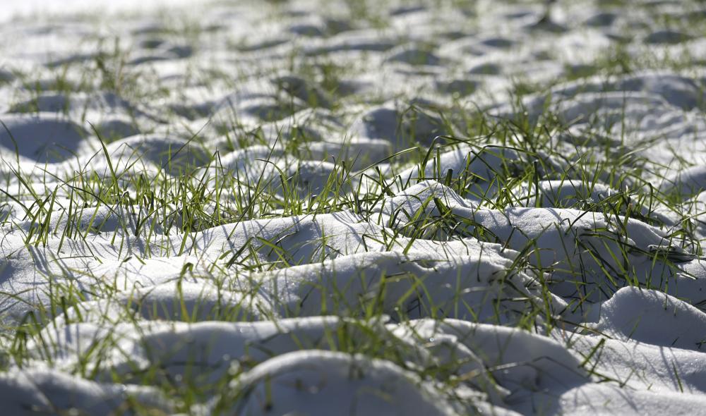 neige diapo