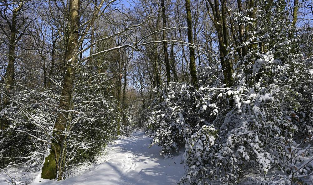 neige diapo