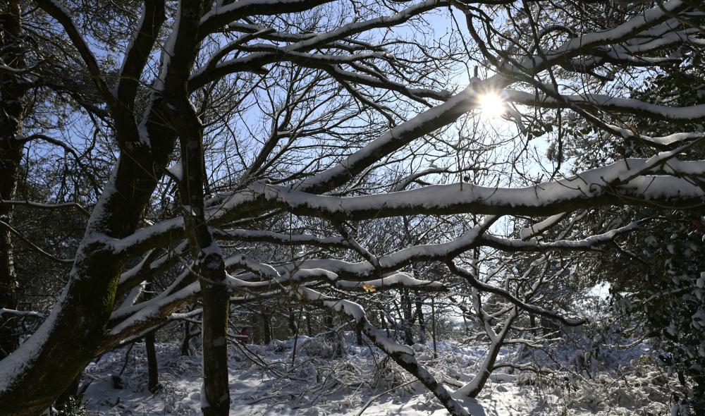 neige diapo