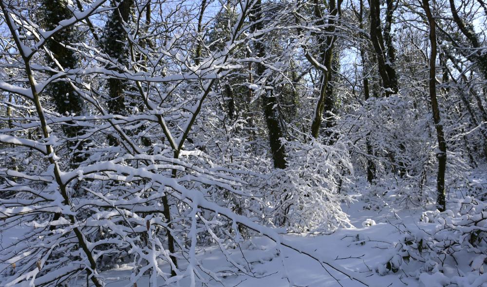 neige diapo