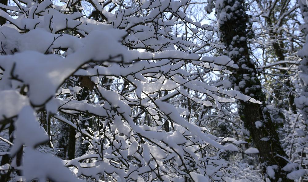 neige diapo