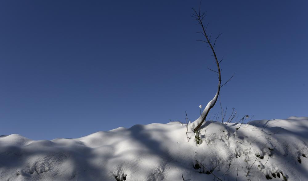 neige diapo
