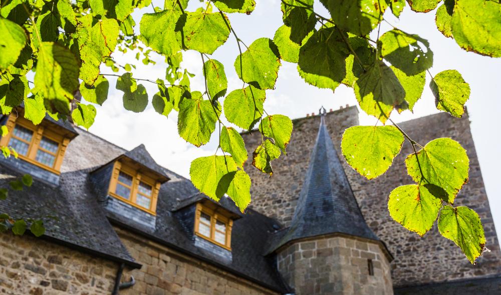 ... à l'ombre des dernières feuilles de l'été.