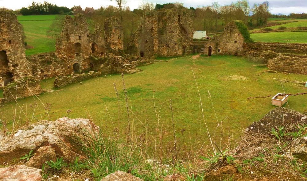 A l'intérieur de l'enceinte du château, juste avant le début des travaux de 2015 (photo DR).