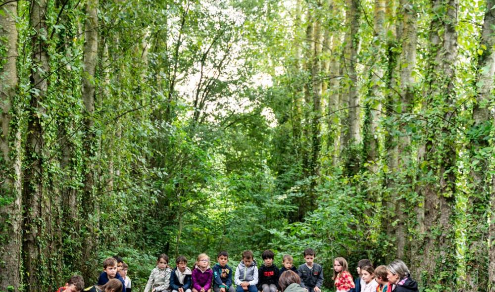 Comme à chaque séance, les élèves de grande section et de CP prennent place sur de gros troncs déposés au sol.